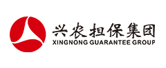 重慶興農擔保集團
